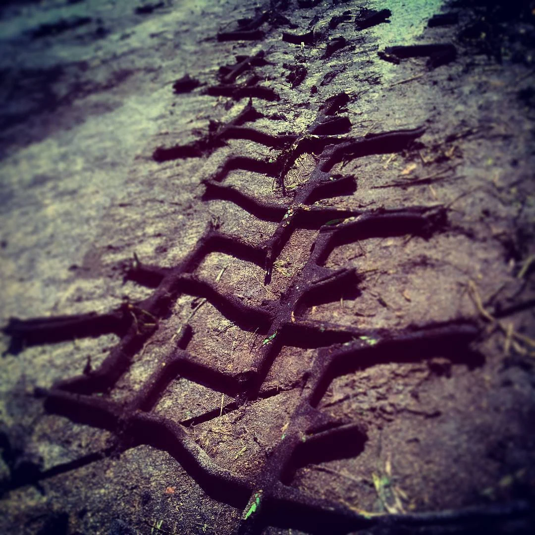 Tire tracks photograph